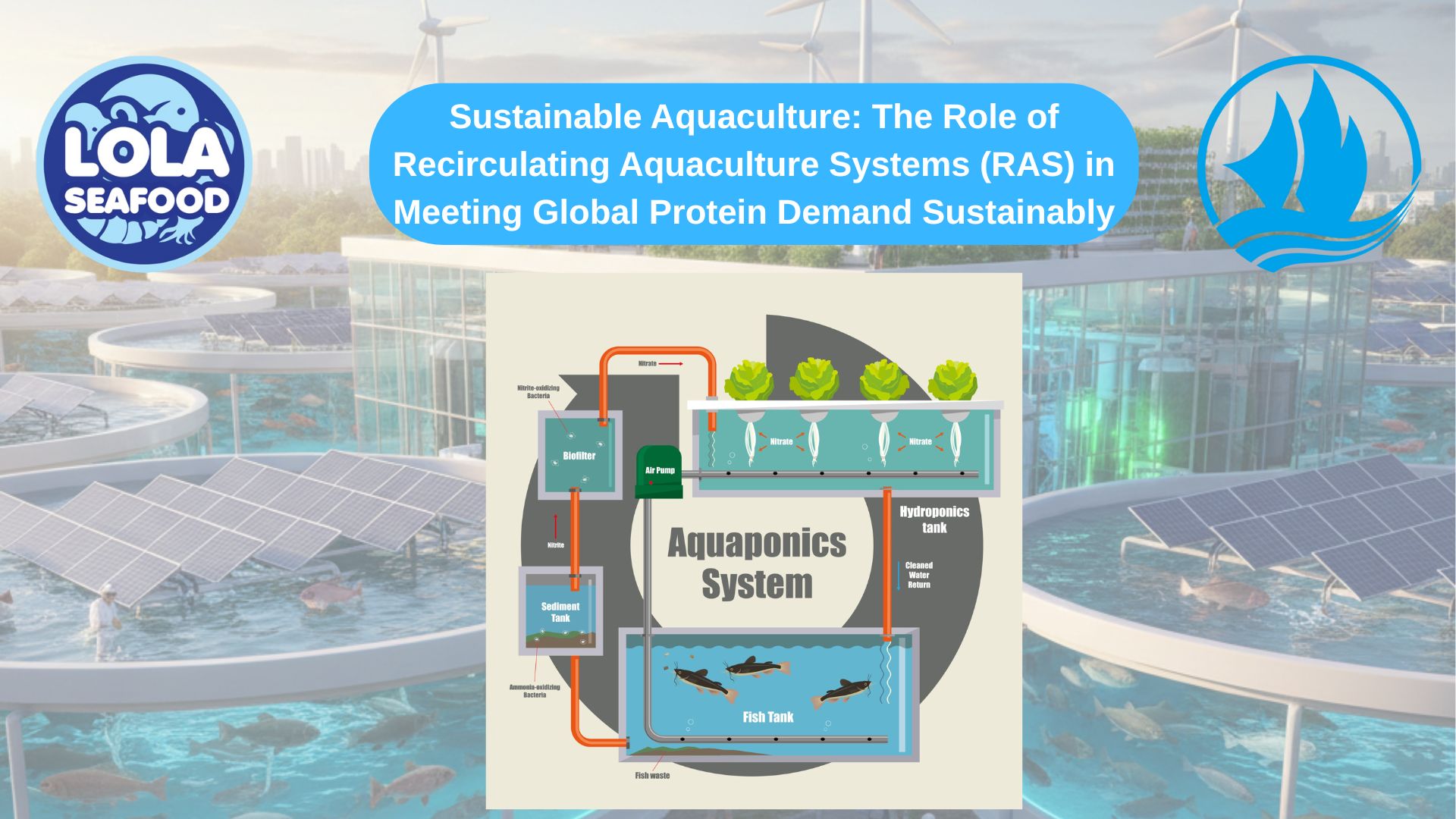 Sustainable Aquaculture: The Role of Recirculating Aquaculture Systems (RAS) in Meeting Global Protein Demand Sustainably